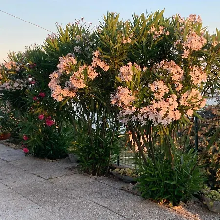 Carpe Diem Apartment Bordighera